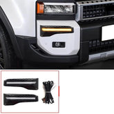 Toyota Land Cruiser Prado LC250 DLR Light 2024-2025